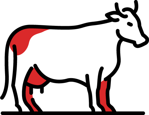 Sapi